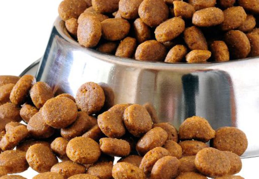 Nutrigenomics in Pet Food
