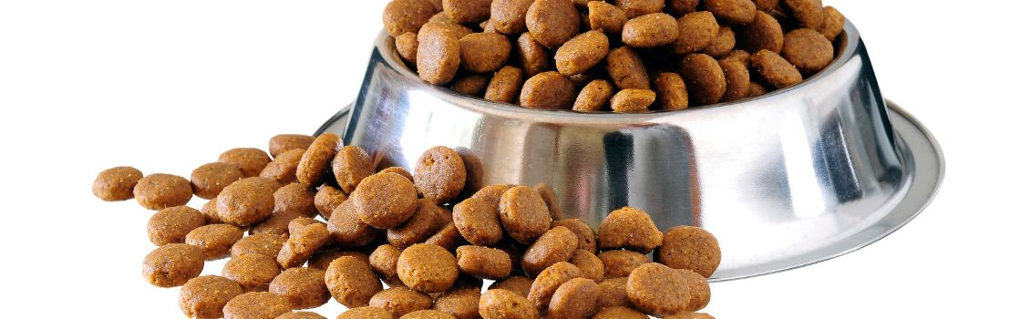 Nutrigenomics in Pet Food