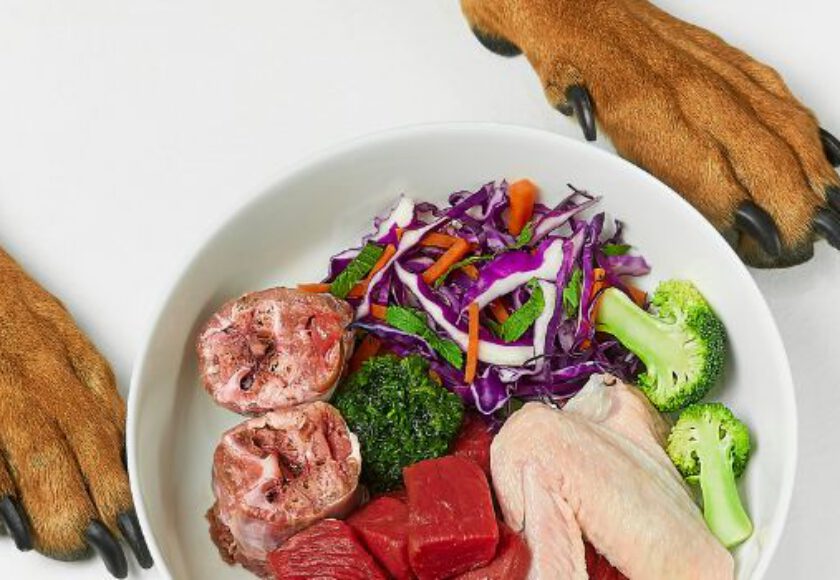 Alternative Protein Sources for Pet Food
