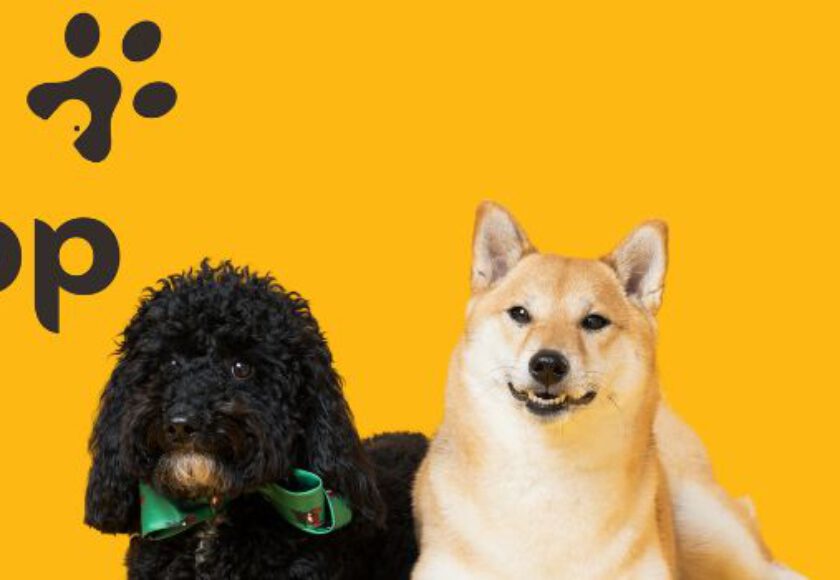 Global Pet Food Market Trends