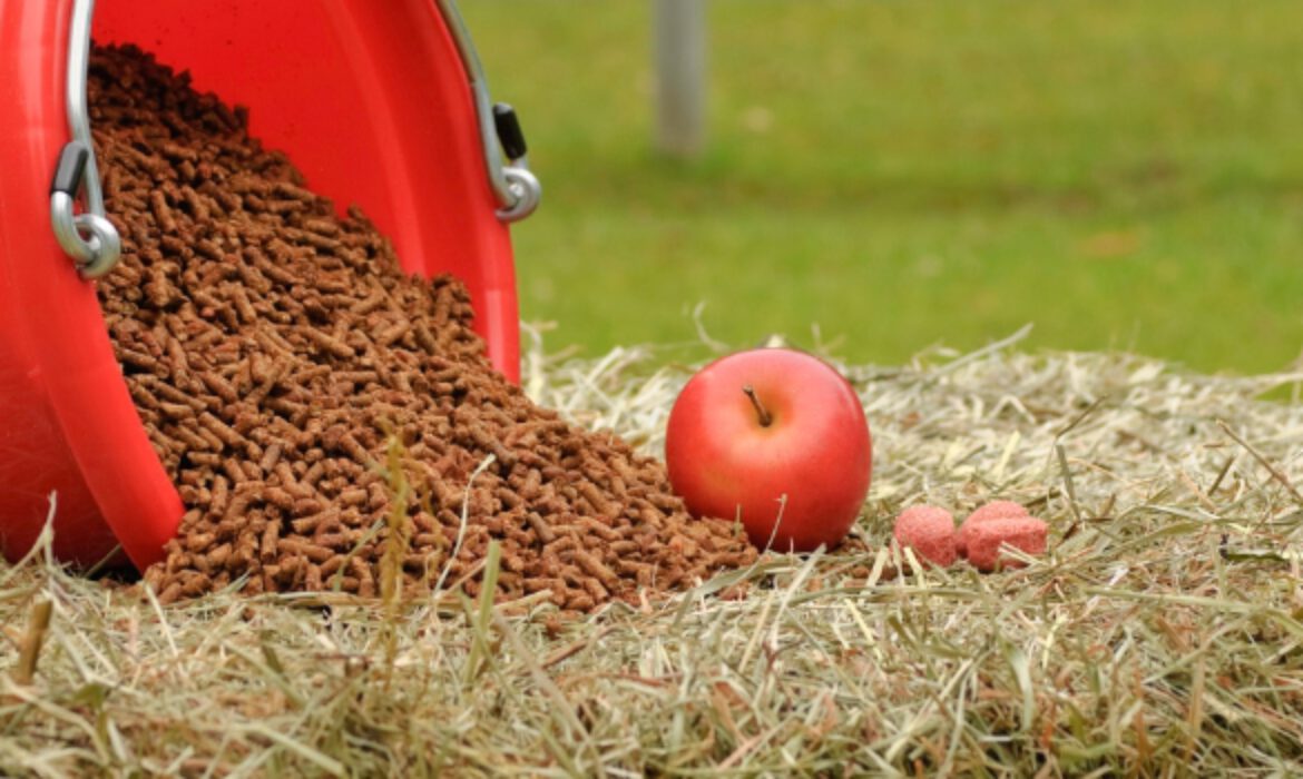 Animal Feed