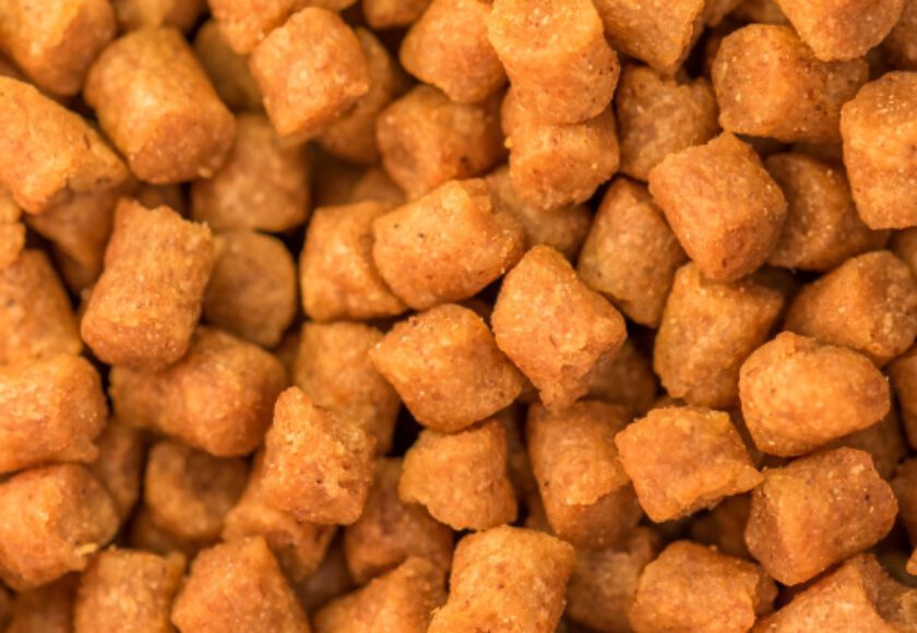 Animal Proteins in Animal Feeds