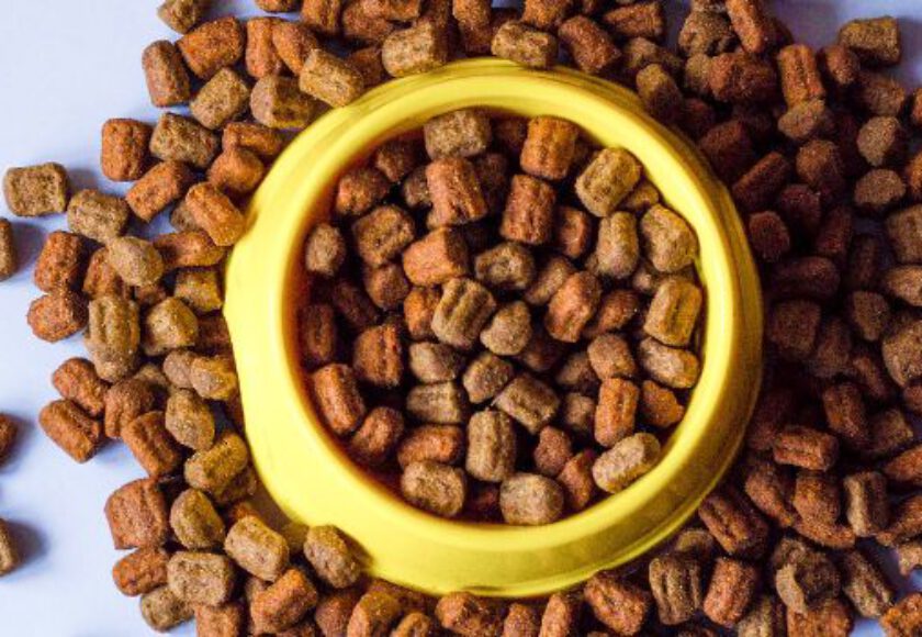 Technology in Improving Pet Food Raw Material Quality