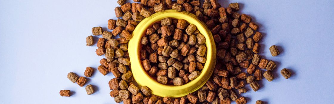 Technology in Improving Pet Food Raw Material Quality