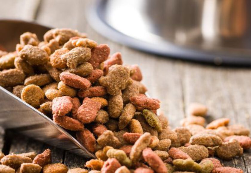 Sustainability of Pet Food Ingredients