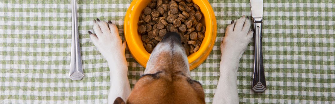 Raw Materials for Making Pet Food