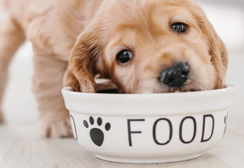 xr:d:DAF8AcqM3V4:56,j:2431238516151104926,t:24030412