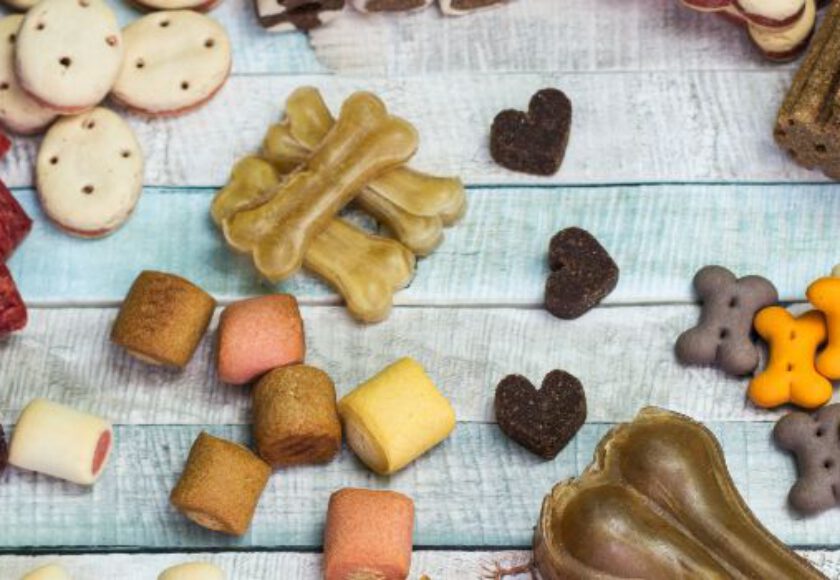 Raw Materials for Pet Food (16)