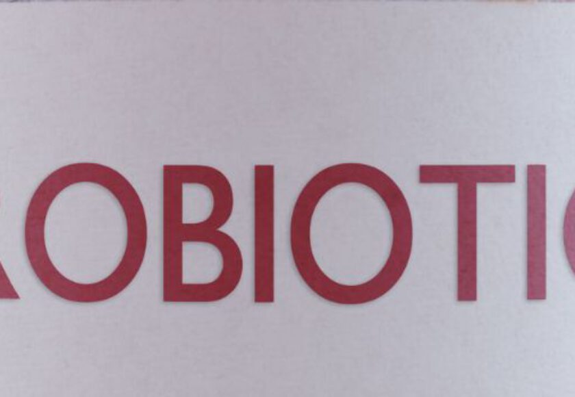 The Role of Probiotic in Pet Wellness