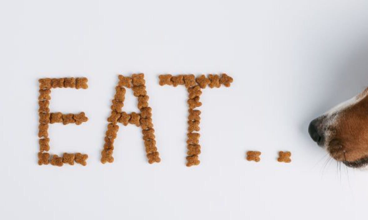 Carbohydrates in Animals Feed