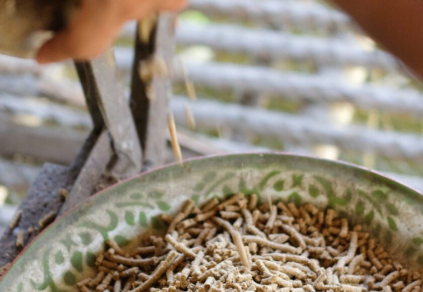 Nachhaltigkeit Bei der Entwicklung Neuer Tierfutterprodukte