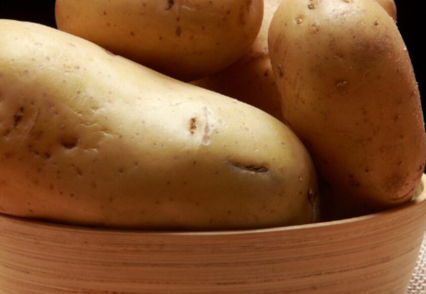 Potato Protein Raw Materials