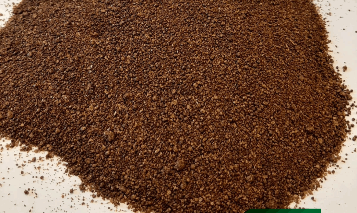 Design ohne Titel (2)