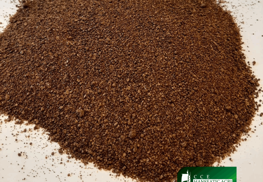 Design ohne Titel (2)