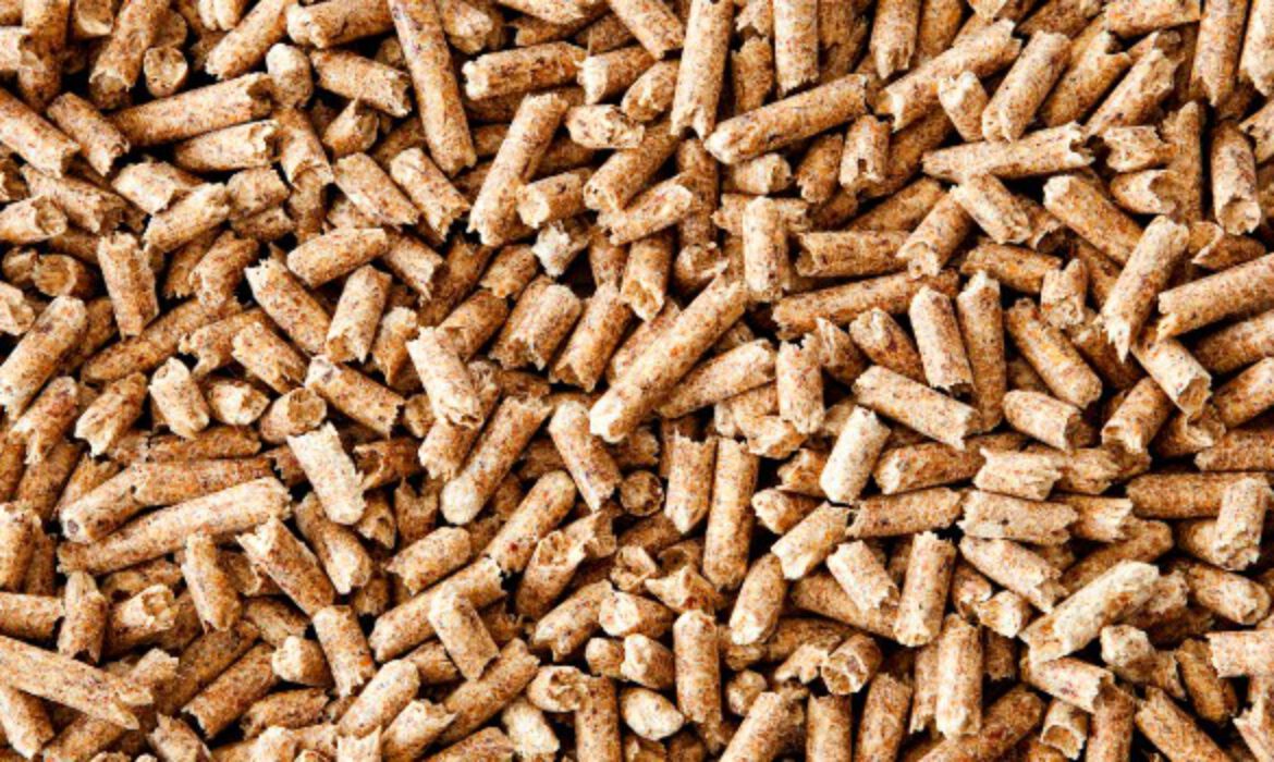 Tapioca Pellets Raw Material