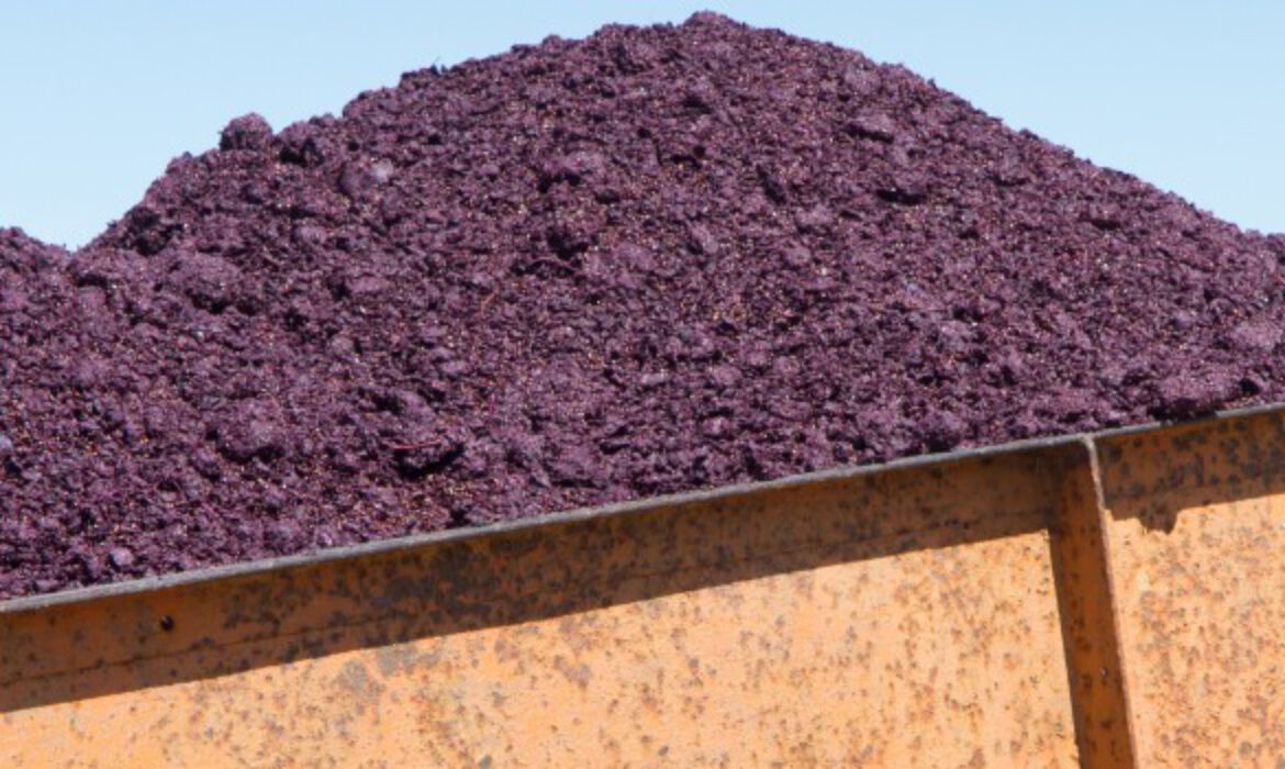 Tomato Pomace Raw Material