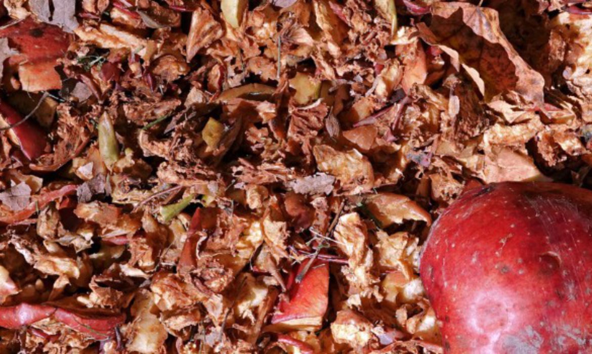 Apple Pomace Raw Materials