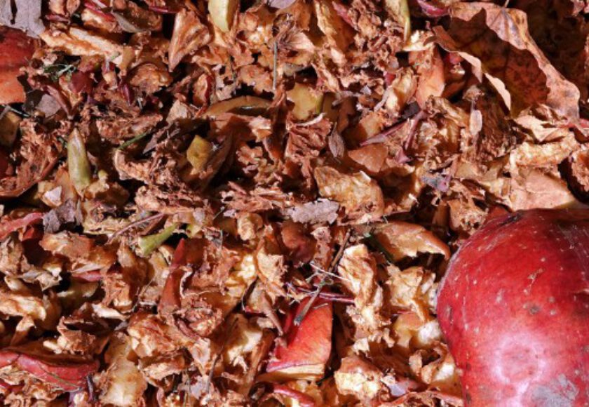Apple Pomace Raw Materials