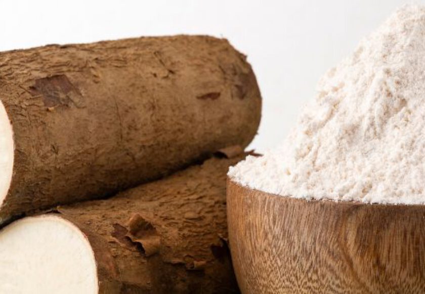 Tapioca Starch Raw Material