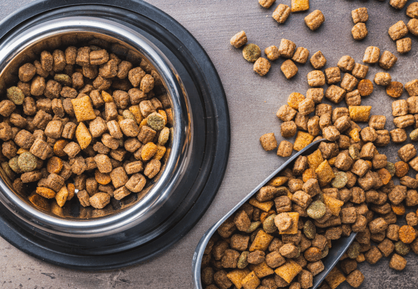 Heimtierfuttermarkt Heimtierfutter im Napf