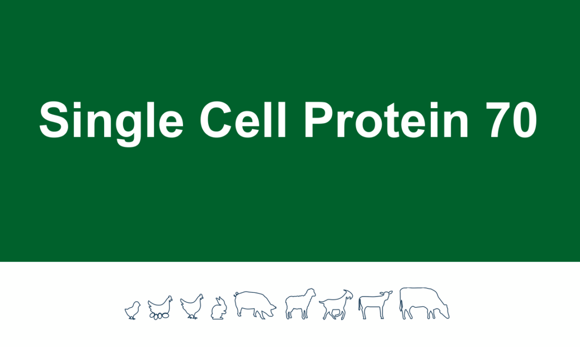 Screenshot 2025-06-05 121914