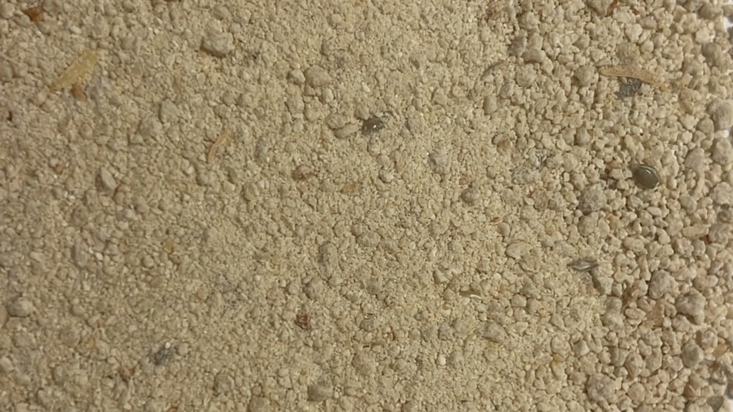 Rice Protein