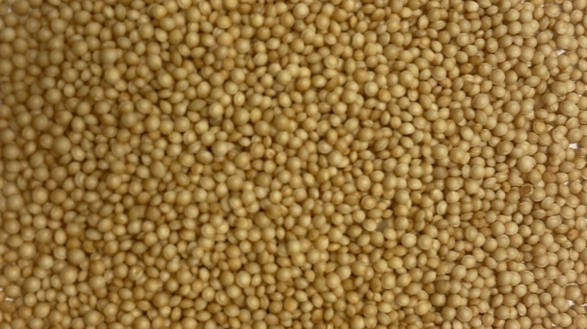 Amaranth Seeds