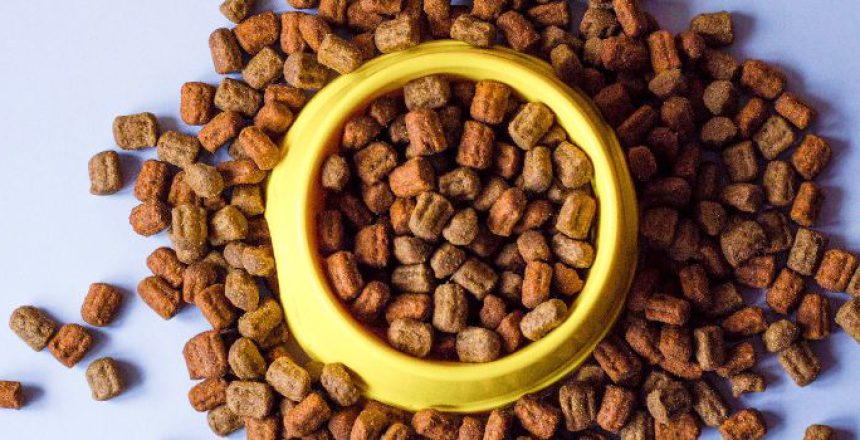 Technology in Improving Pet Food Raw Material Quality