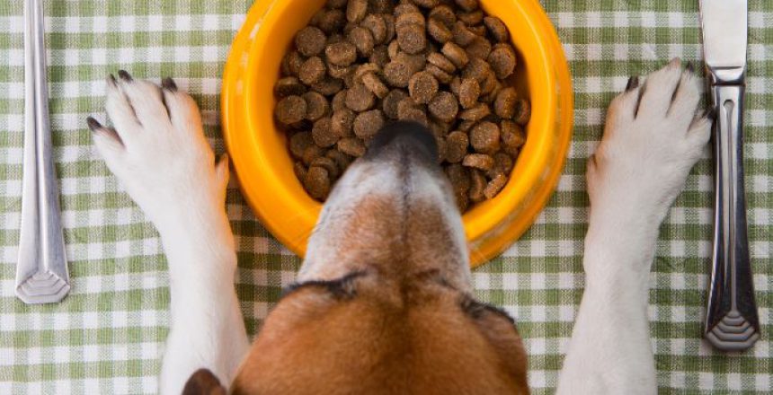 Raw Materials for Making Pet Food